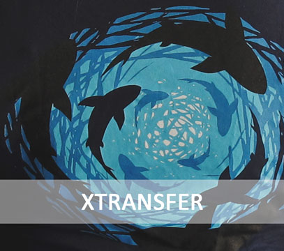 xtransfer